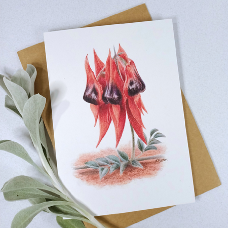 Blank Greeting Card - Sturt's Desert Pea