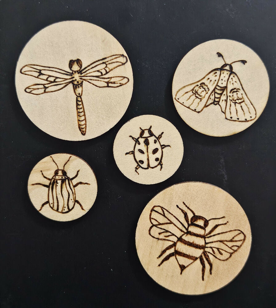 THE KATIE COLLECTIVE - WOODEN MAGNET SET - INSECTS