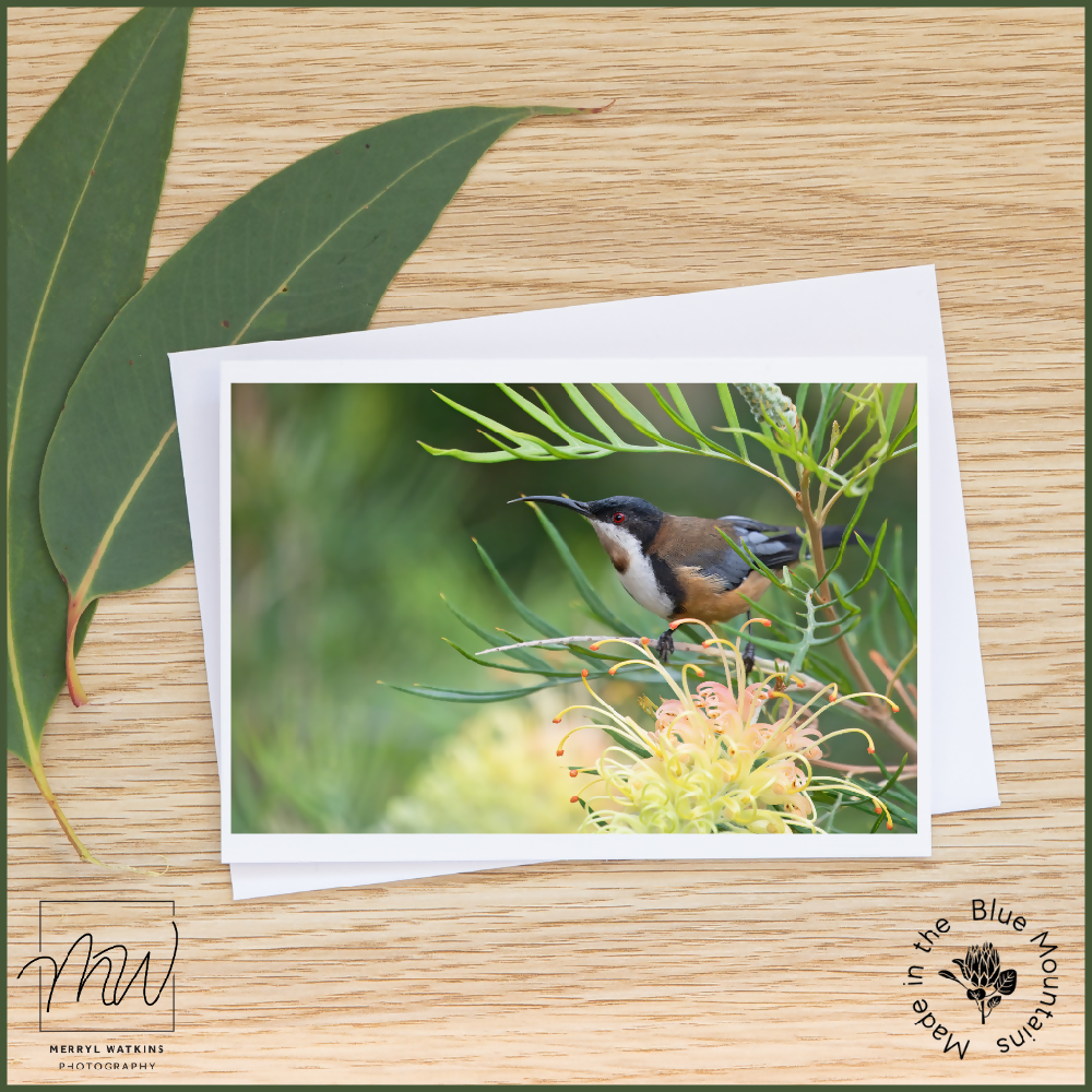 Mock-up cards border (33)