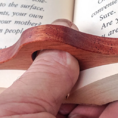 Beefwood Handmade Wooden Book Bird