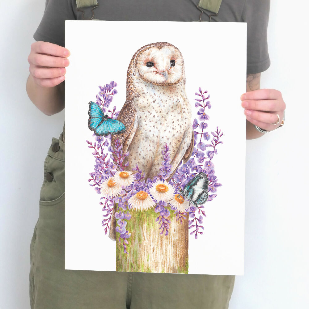 A3 art print of an Australian Masked Owl surrounded by butterflies and native Australian flowers, illustrated by Australian artist Kayla Reay.