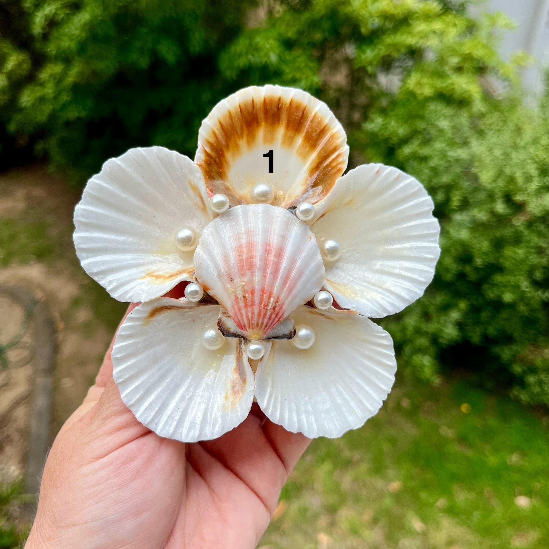 Medium Scallop Shell Flower Trays
