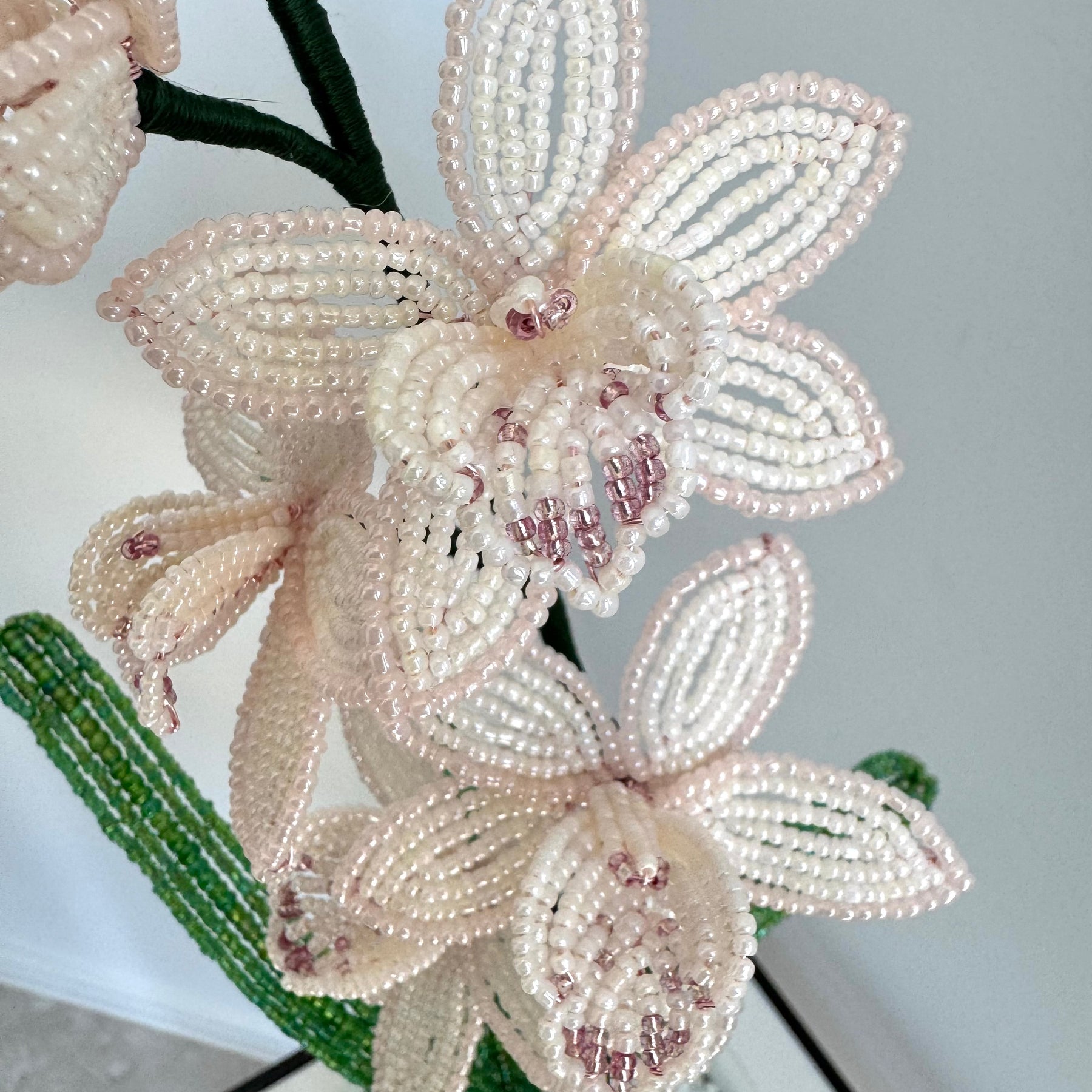 French-beaded miniature Cymbidium Orchid