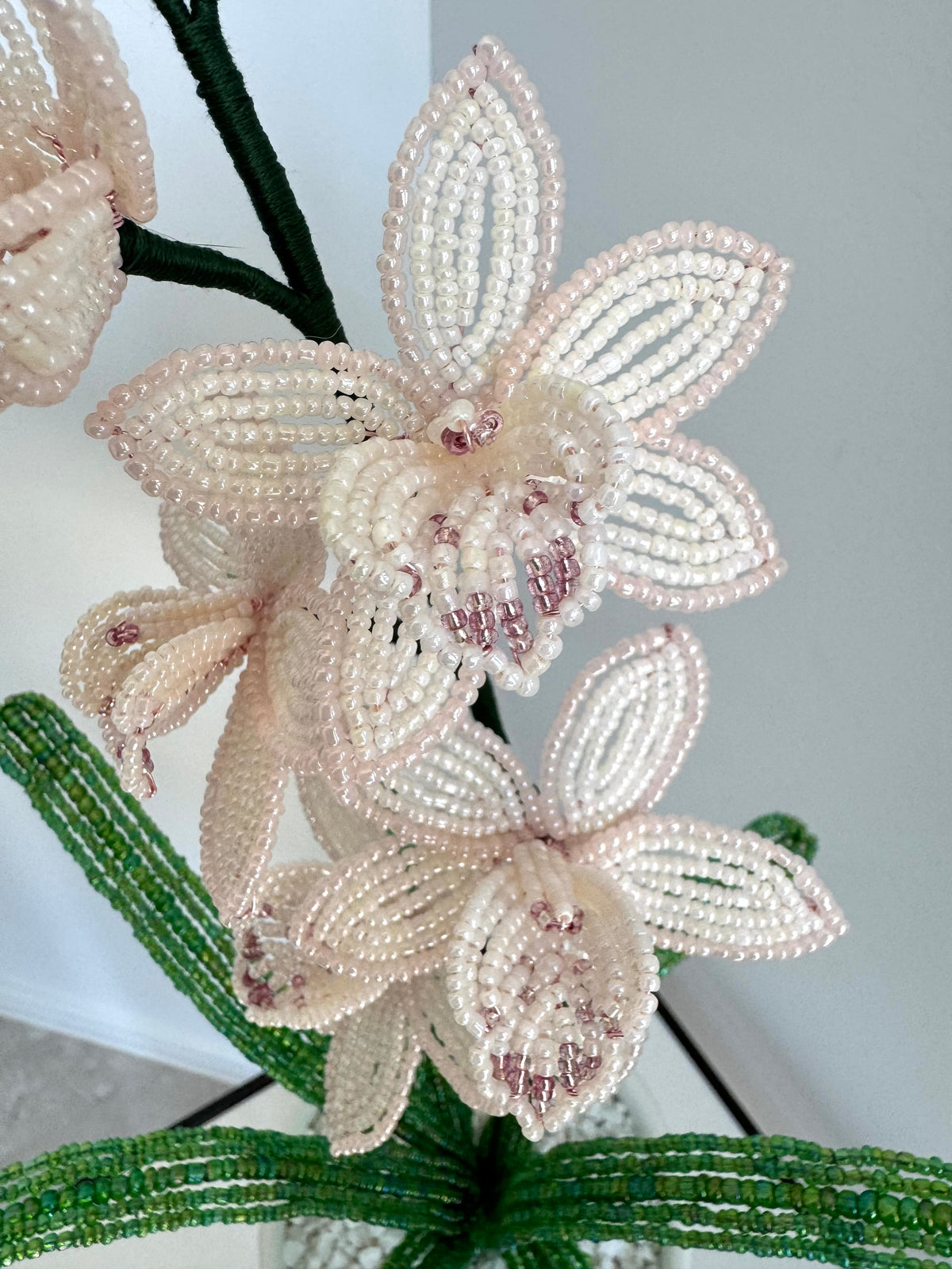 French-beaded miniature Cymbidium Orchid