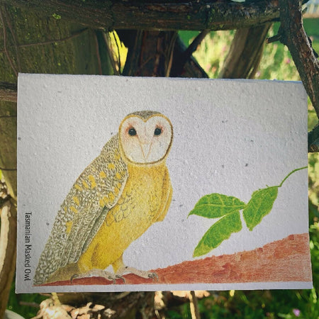 Tasmanian Masked Owl Illustrated Seeded Paper Greeting Card
