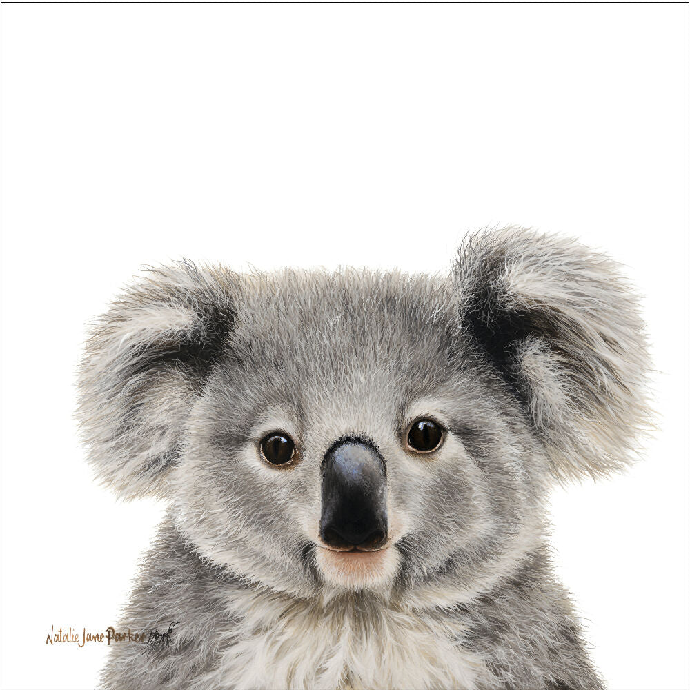 Koala_300mm_1px edge