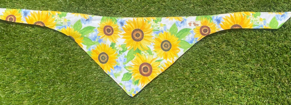 Bandana 9