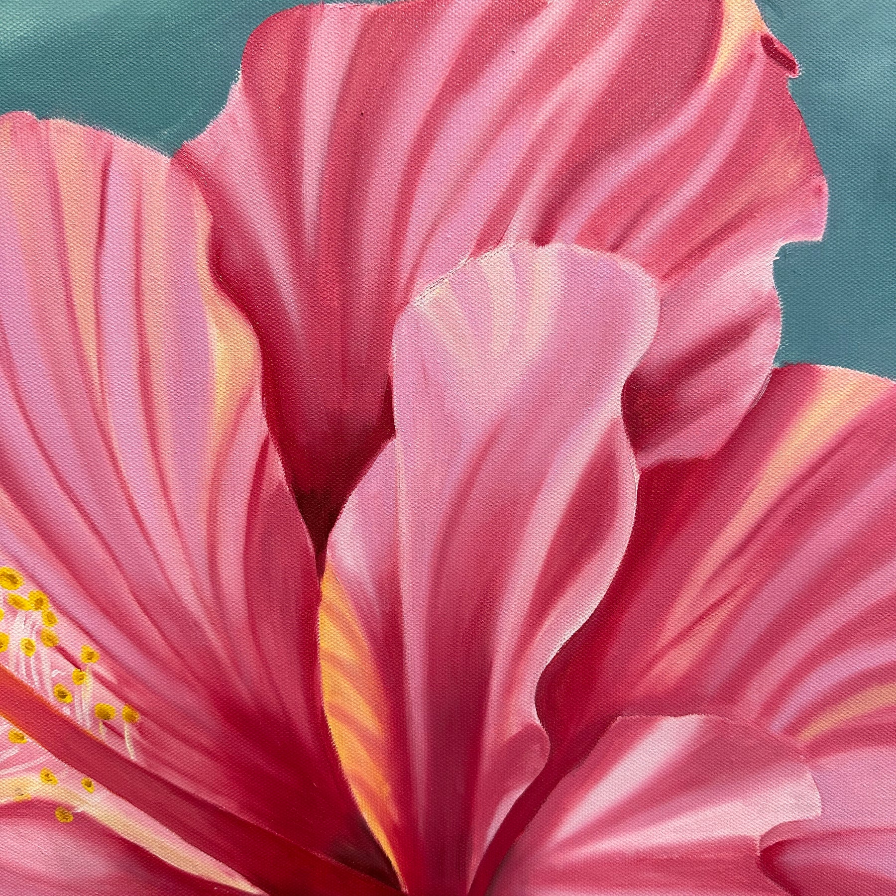 Original Oil Painting - Hand Painted - Hibiscus