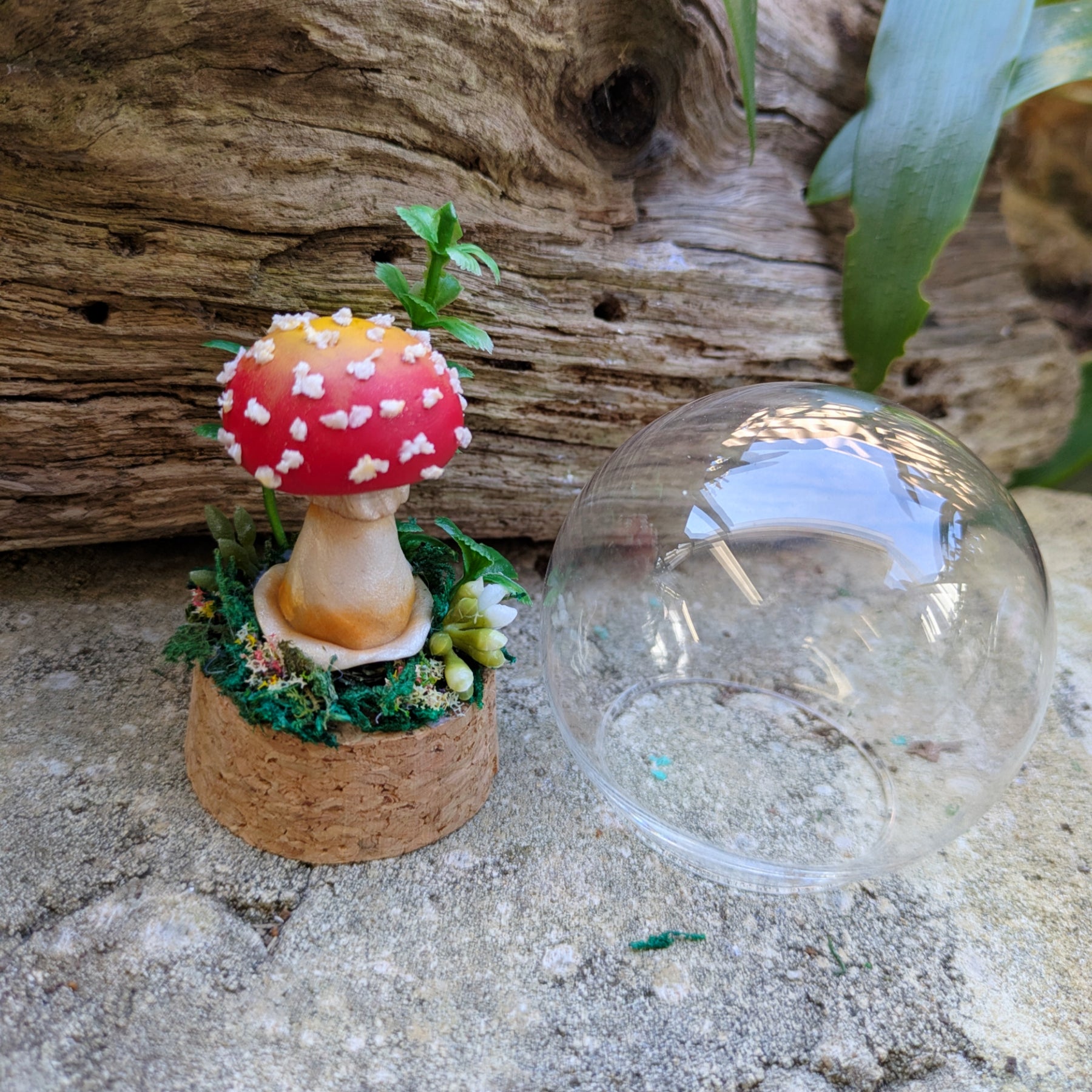 Mini Enchanted Amanita Mushroom Dome
