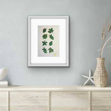 Botanical collection , watercolor , framed