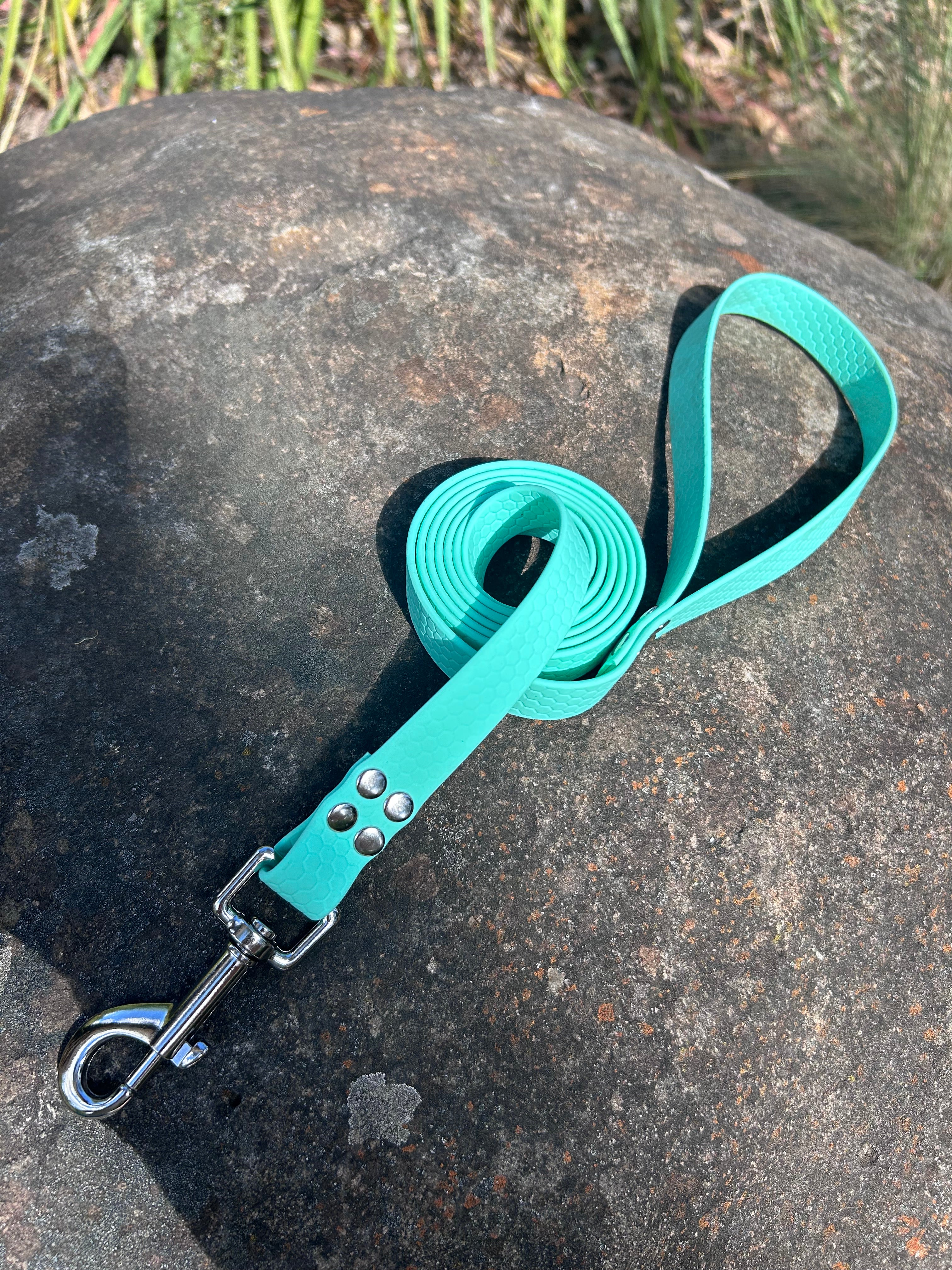 DOG LEAD LEASH WATERPROOF STRONG BRIGHT DURABLE