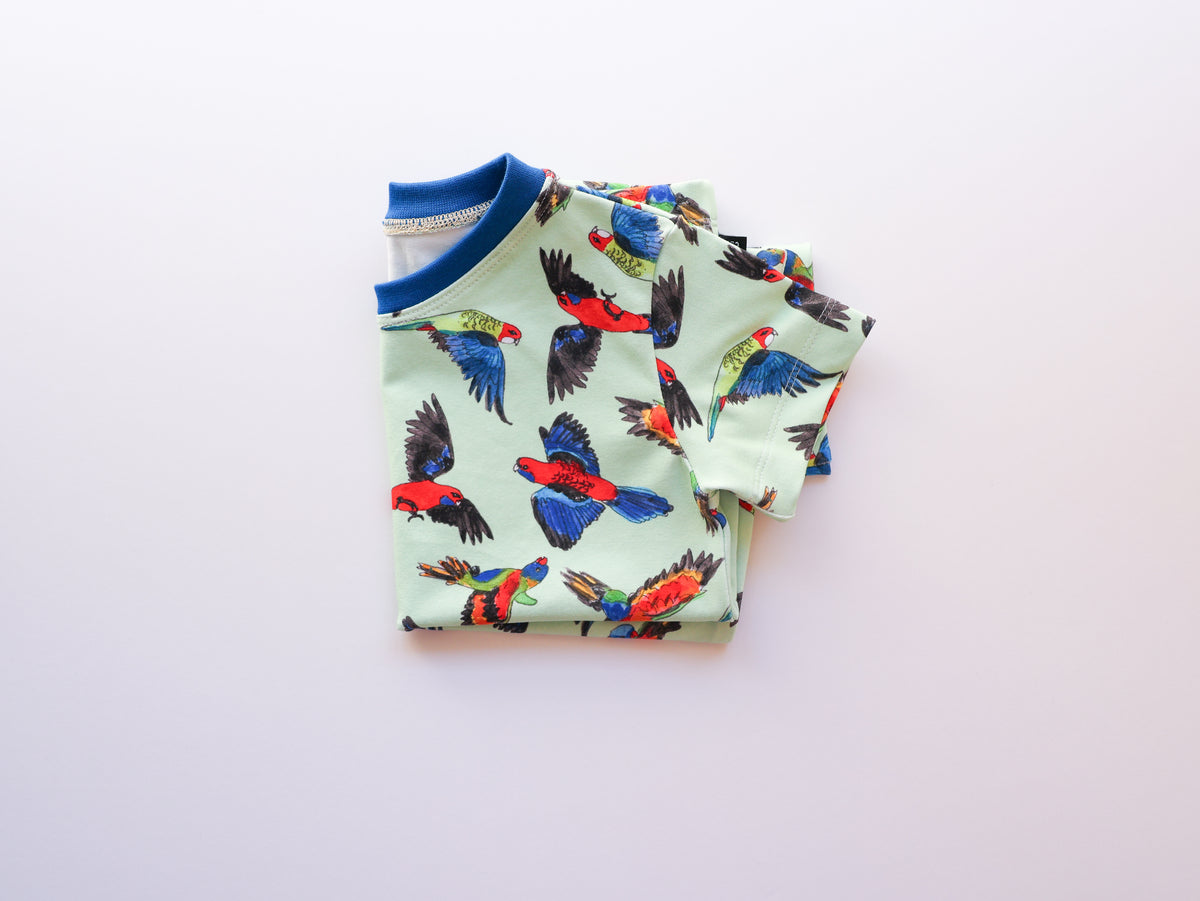 Rainbow birds organic cotton tee shirt 2026-27