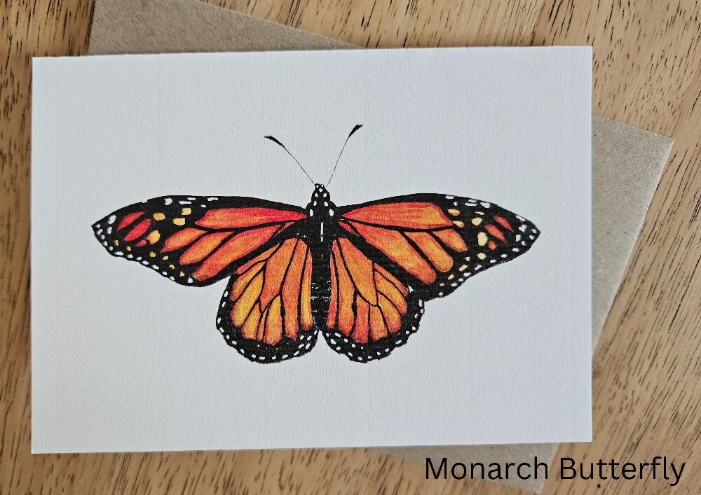 Watercolour Greeting Cards - The Fauna Series - Butterflies