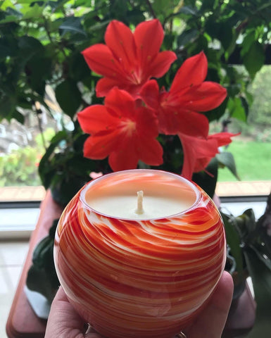 All Lit Up by Jules Vendor Logo