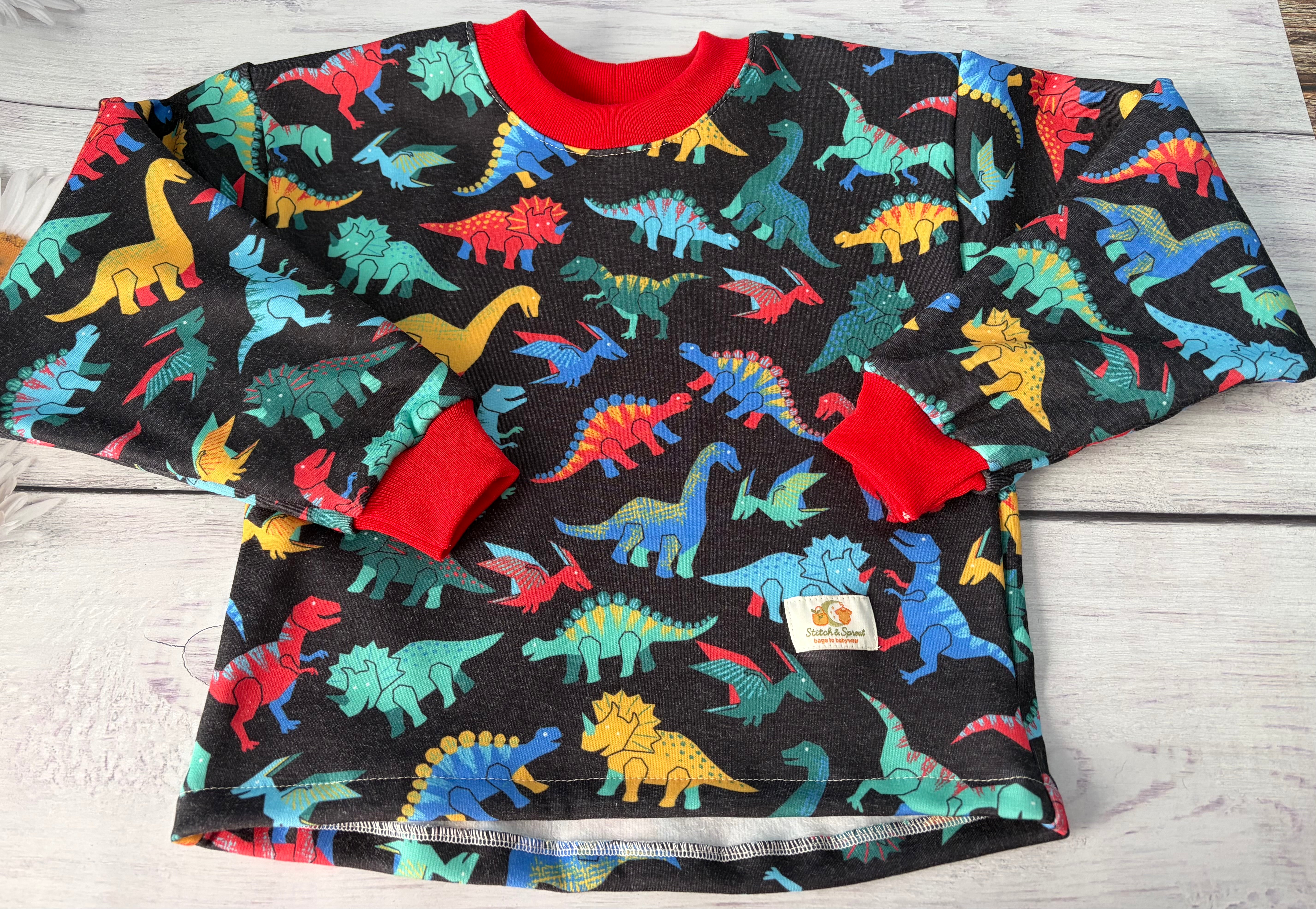 Dinosaur Big Sweatshirt 18-24 months