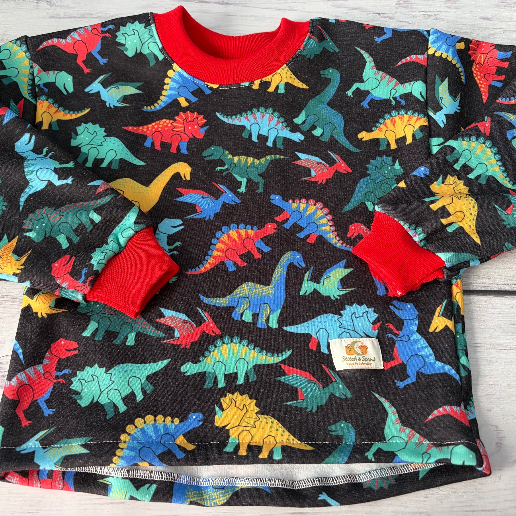 Dinosaur Big Sweatshirt 18-24 months