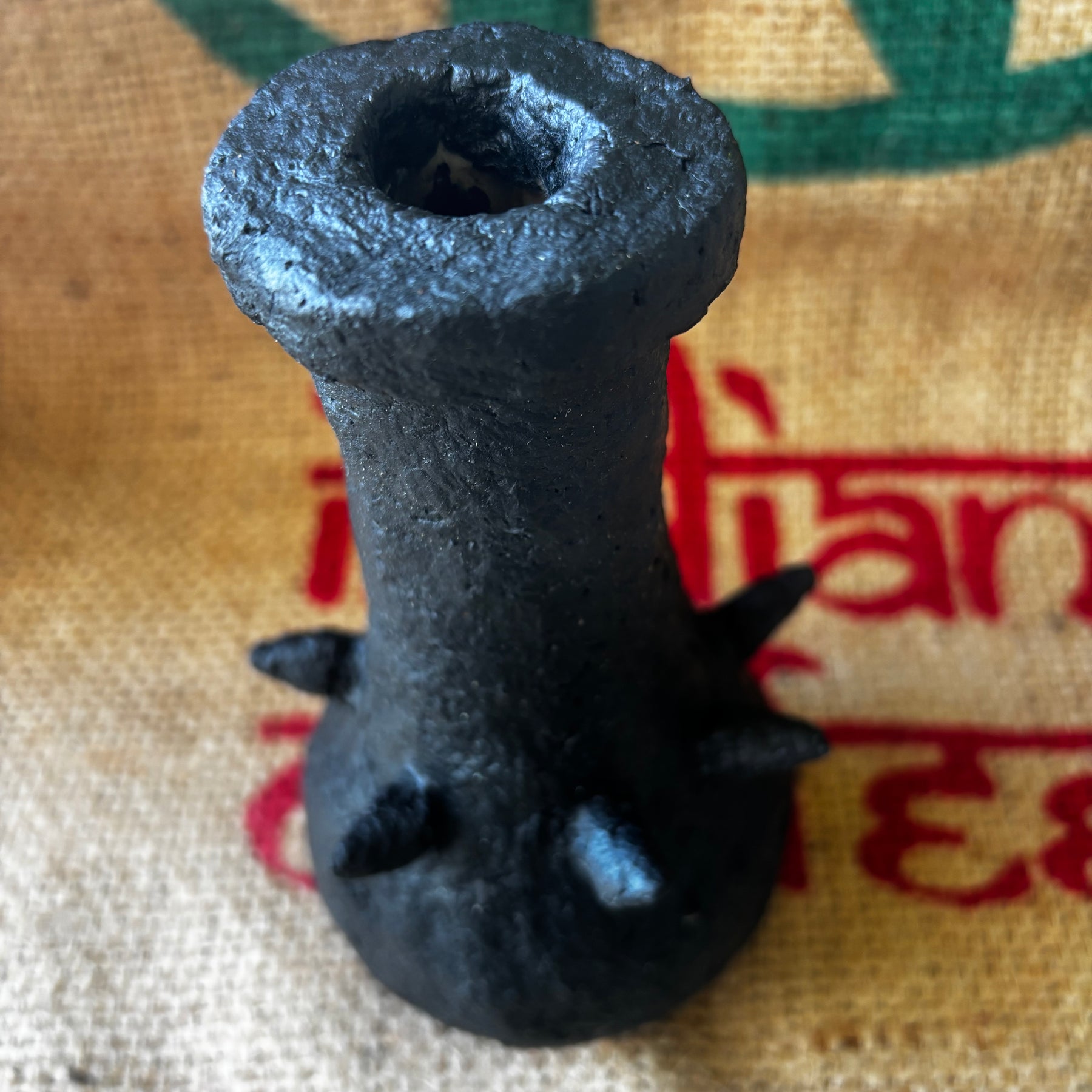 Little spiked black beauty