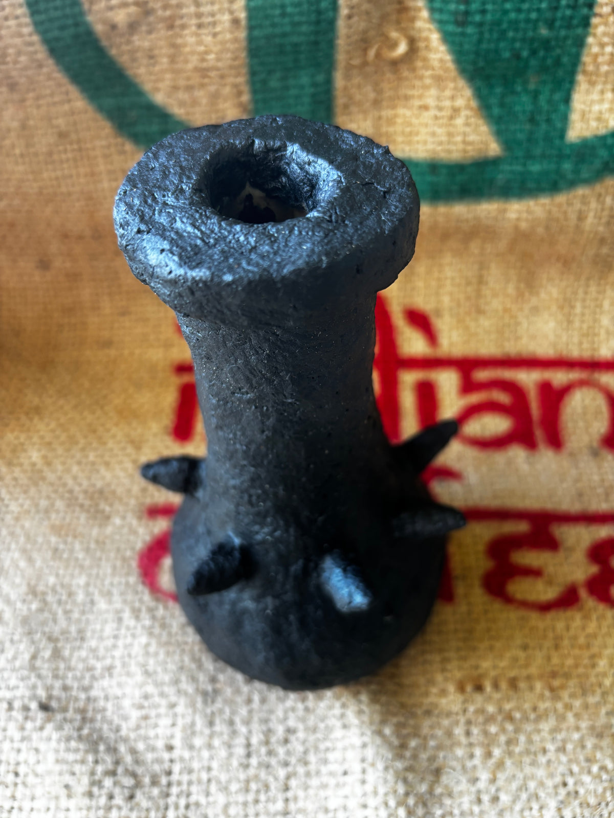 Little spiked black beauty