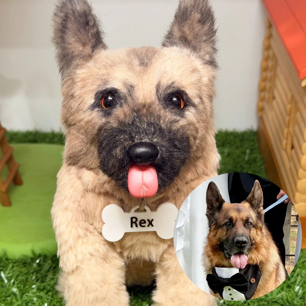 Custom Dog Replica from Photo, Poseable Art Doll, Pet Memorial Keepsake - Handmade Soft Sculpture, Personalised Plushie Ornament