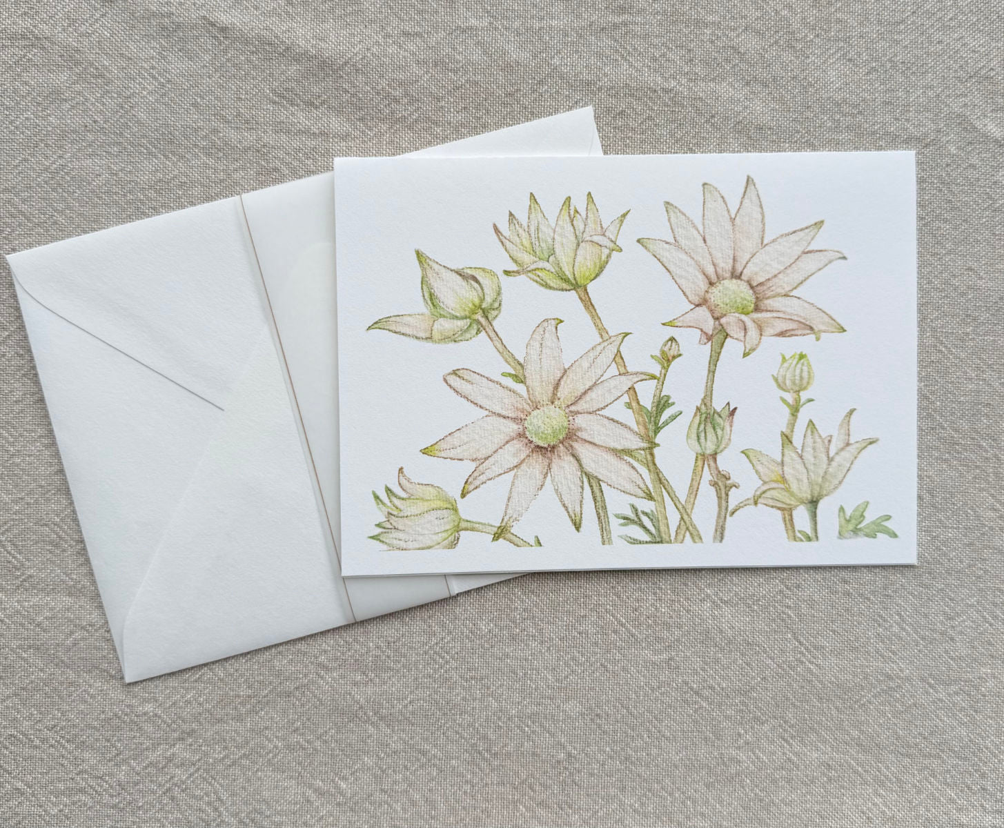 Flannel Flower Botanical Art Card - Handmade Watercolor Greeting Card