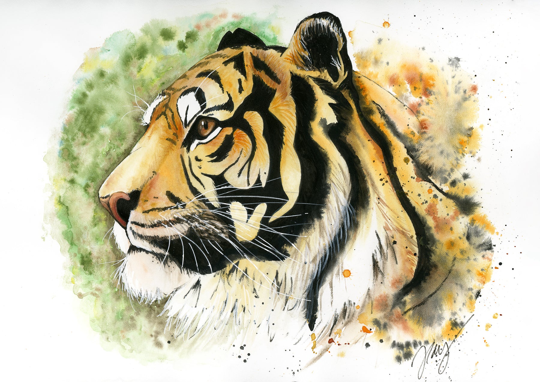 Tiger Watercolor Animal Print | Wildlife Illustration | Wall Art