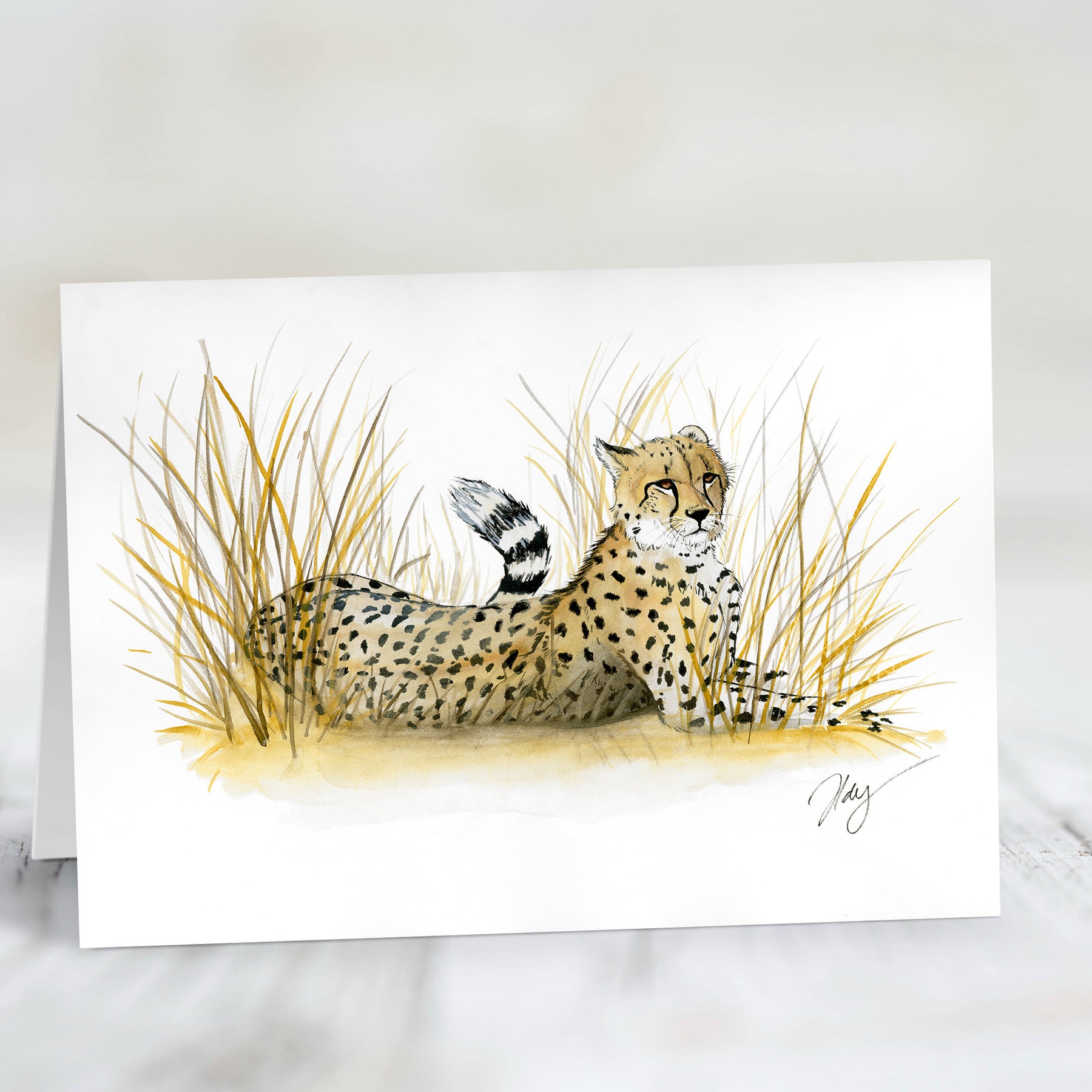 Mystery pack | Watercolour Animal Art | Greeting card