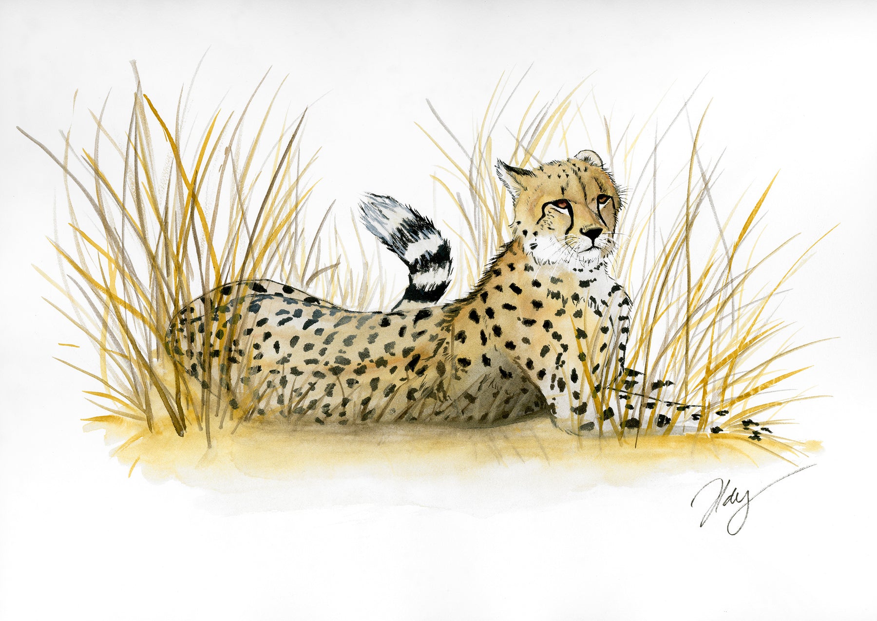 Cheetah Watercolor Animal Print | Wildlife Illustration | Wall Art