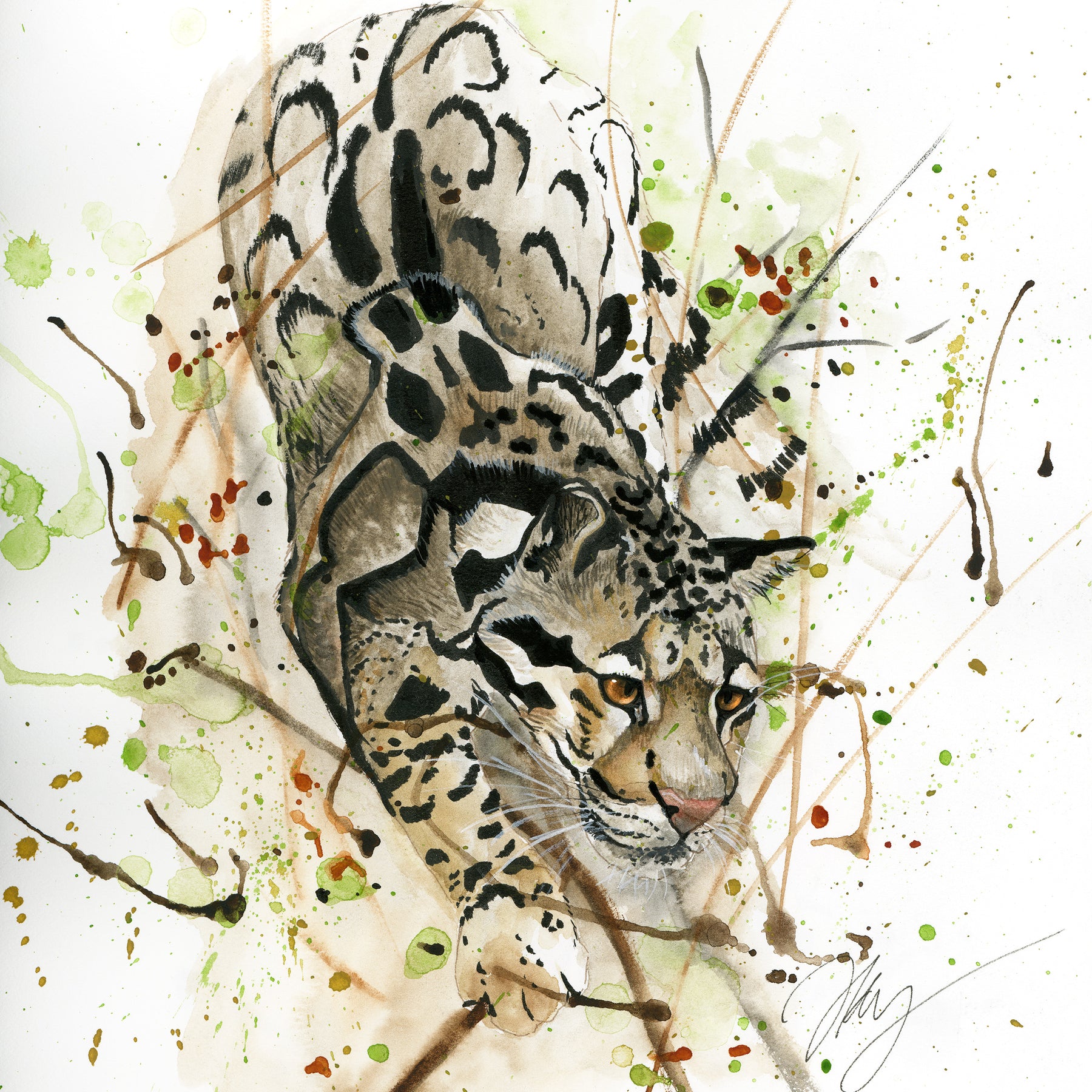 Clouded Leopard Watercolor Animal Print | Wildlife Illustration | Wall Art