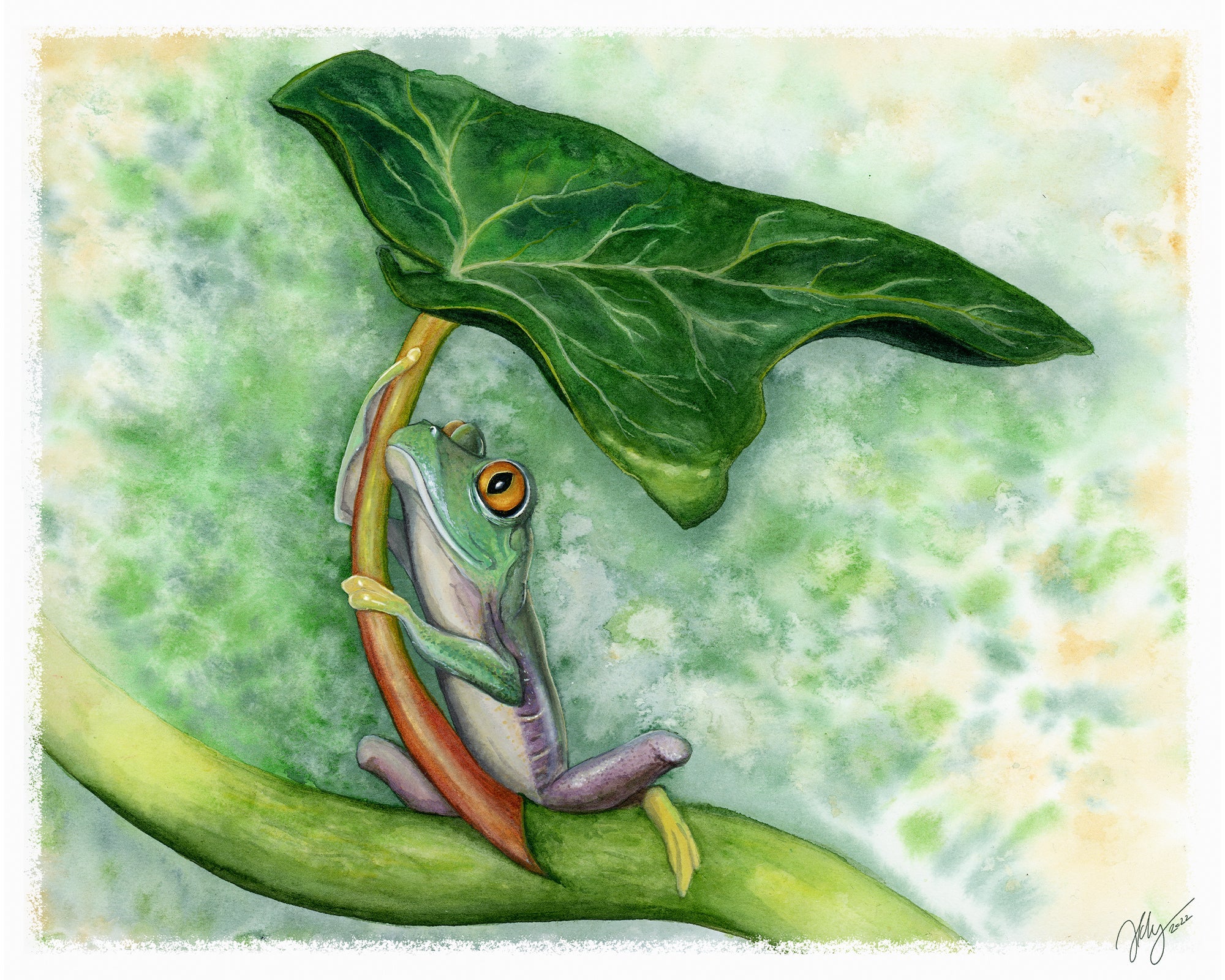 Green Tree Frog Original Watercolor Art | Wildlife Illustration | Wall Art