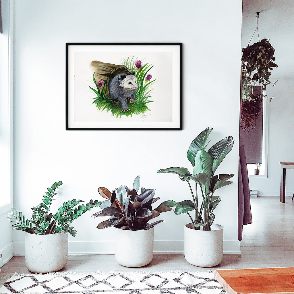 Opossum Watercolor Animal Print | Wildlife Illustration | Wall Art