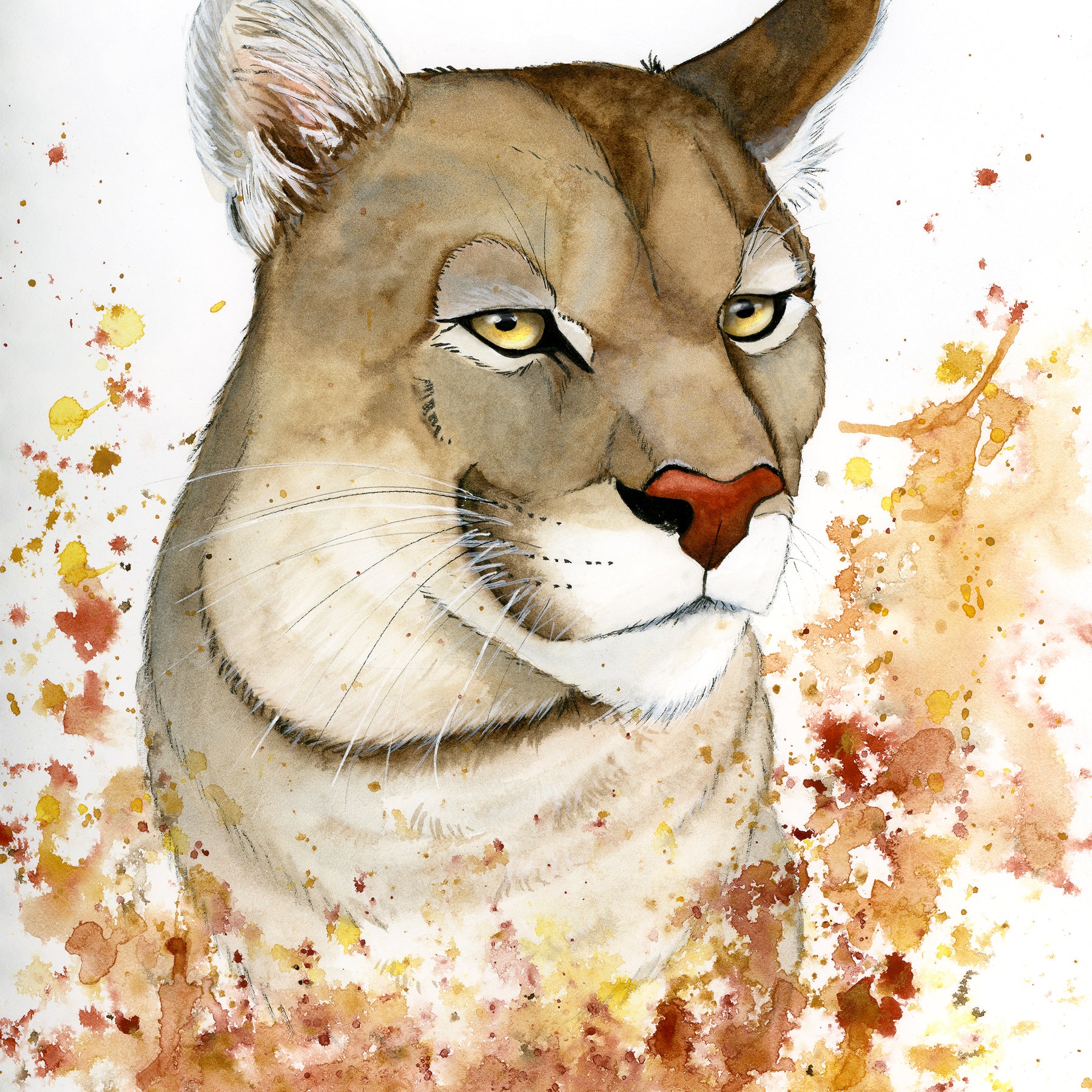 Puma Watercolor Animal Print | Wildlife Illustration | Wall Art
