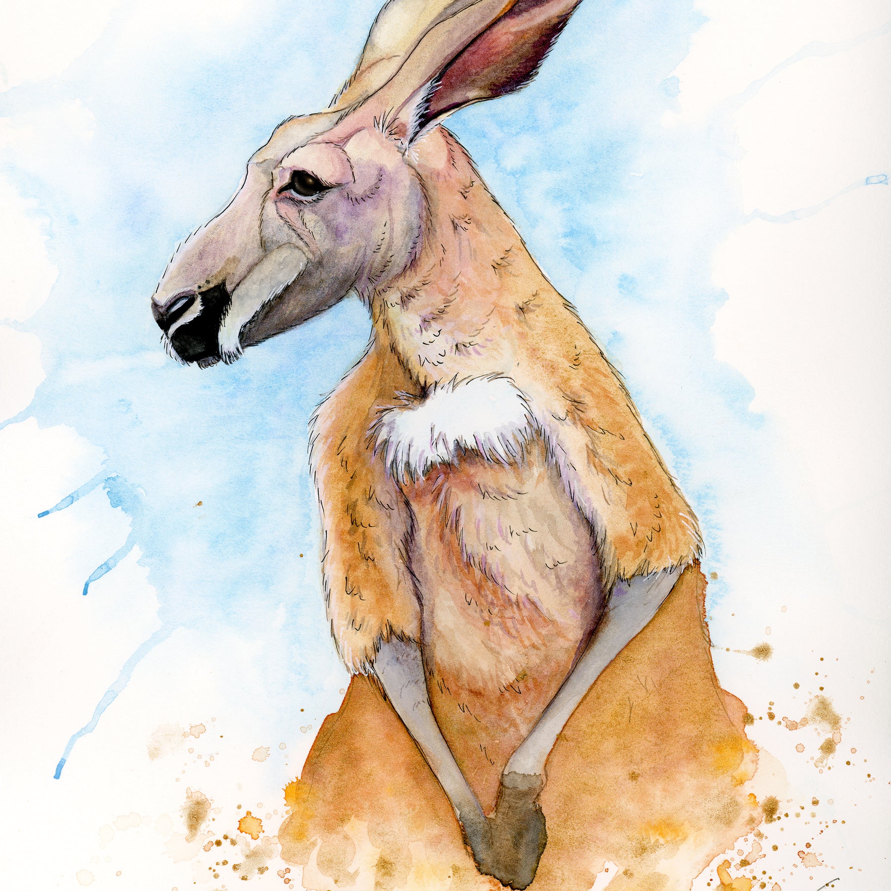 Red Kangaroo Watercolor Animal Print | Wildlife Illustration | Wall Art