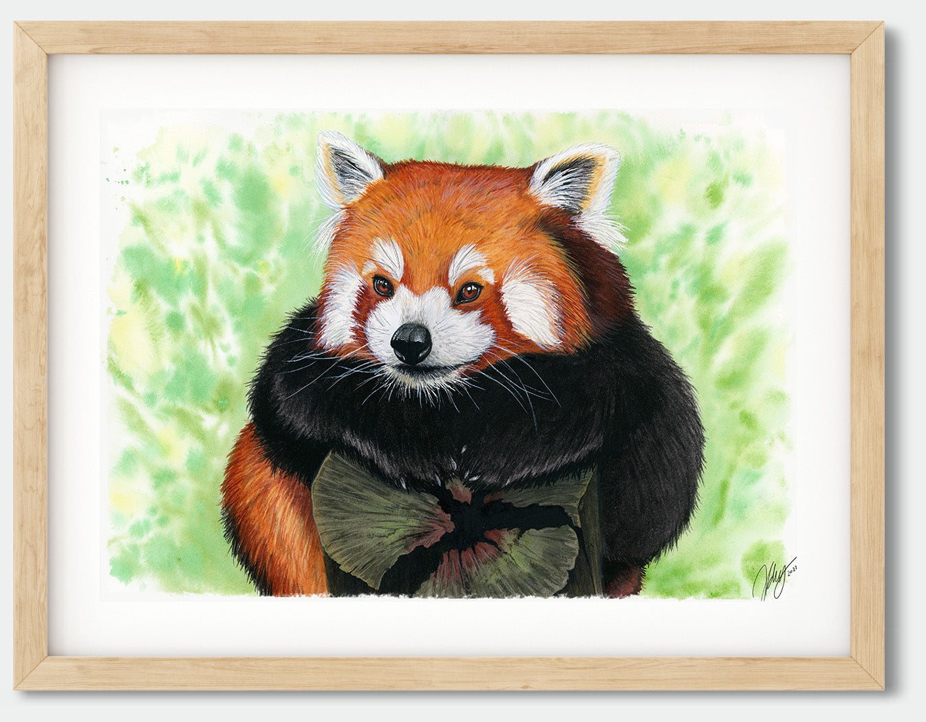 Red Panda Original Watercolor Animal Art | Wildlife Illustration | Wall Art