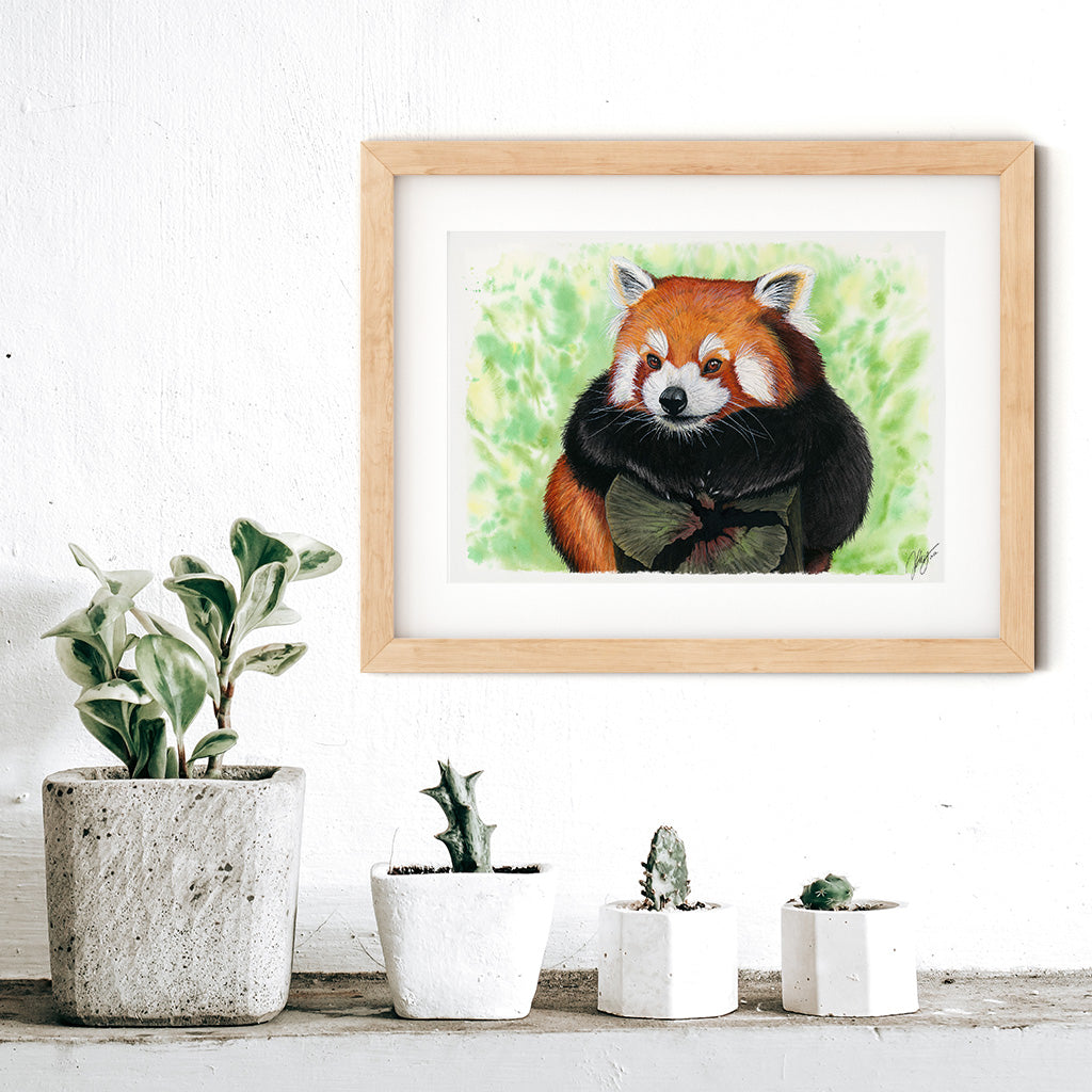 Red Panda Original Watercolor Animal Art | Wildlife Illustration | Wall Art