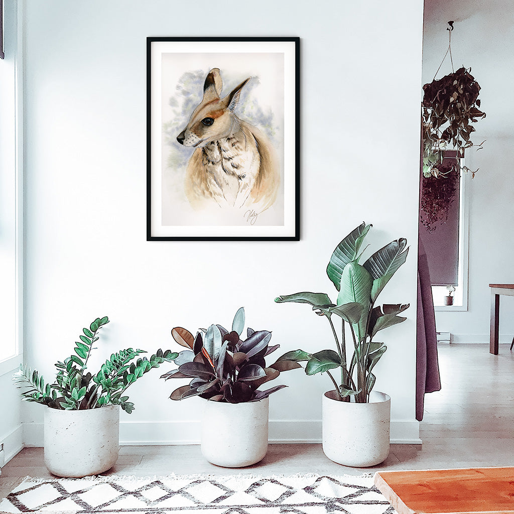 Wallaby Watercolor Animal Print | Wildlife Illustration | Wall Art