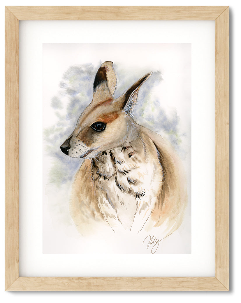 Wallaby Watercolor Animal Print | Wildlife Illustration | Wall Art