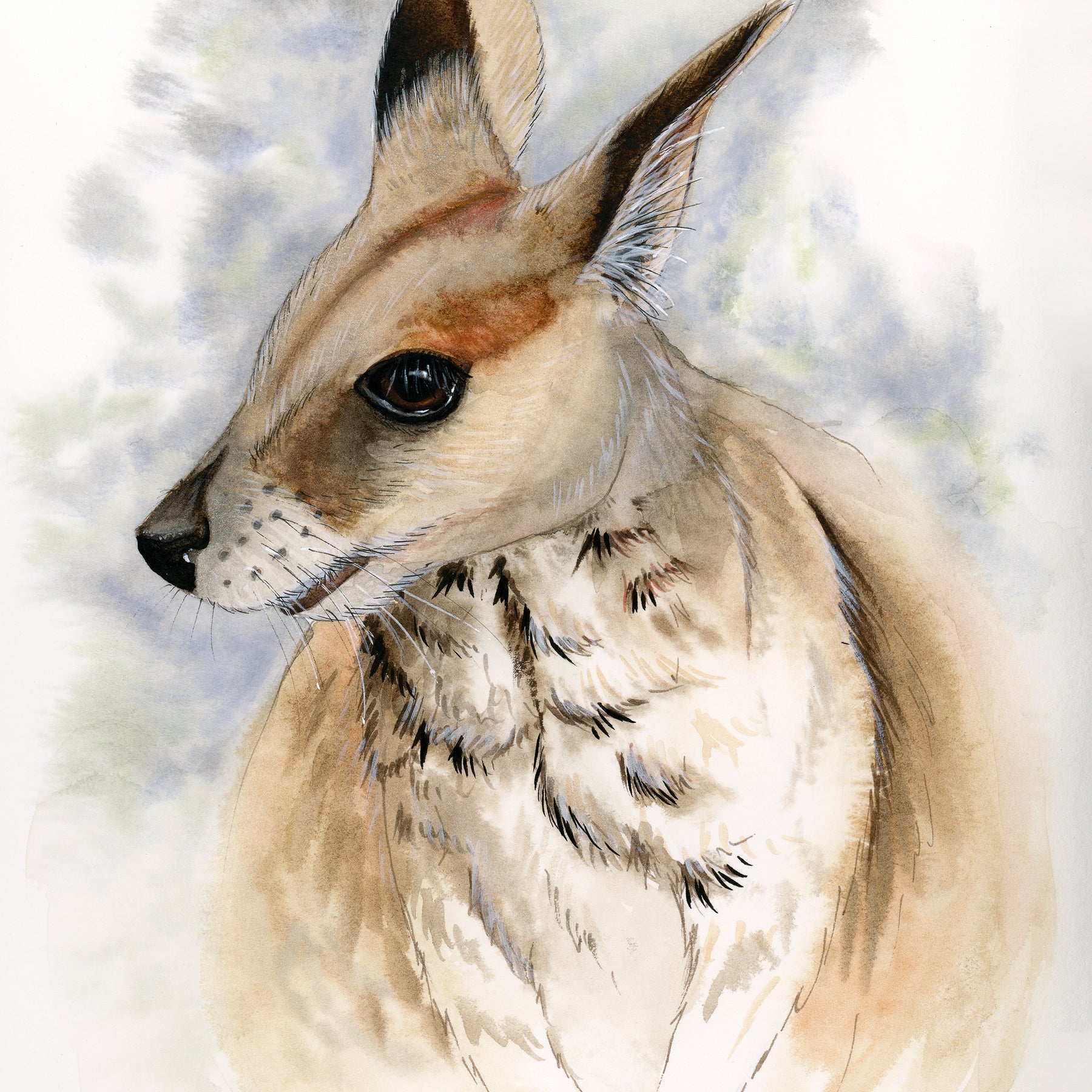 Wallaby Watercolor Animal Print | Wildlife Illustration | Wall Art