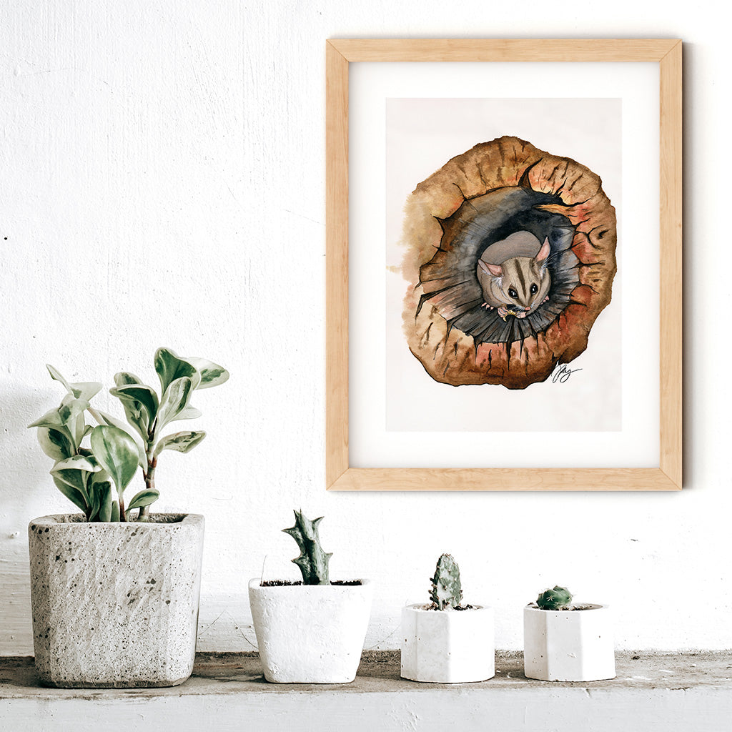 Sugar Glider Watercolor Animal Print | Wildlife Illustration | Wall Art