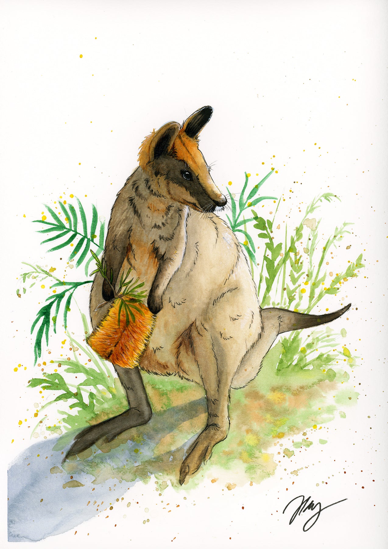 Wallaby Watercolor Animal Print | Wildlife Illustration | Wall Art