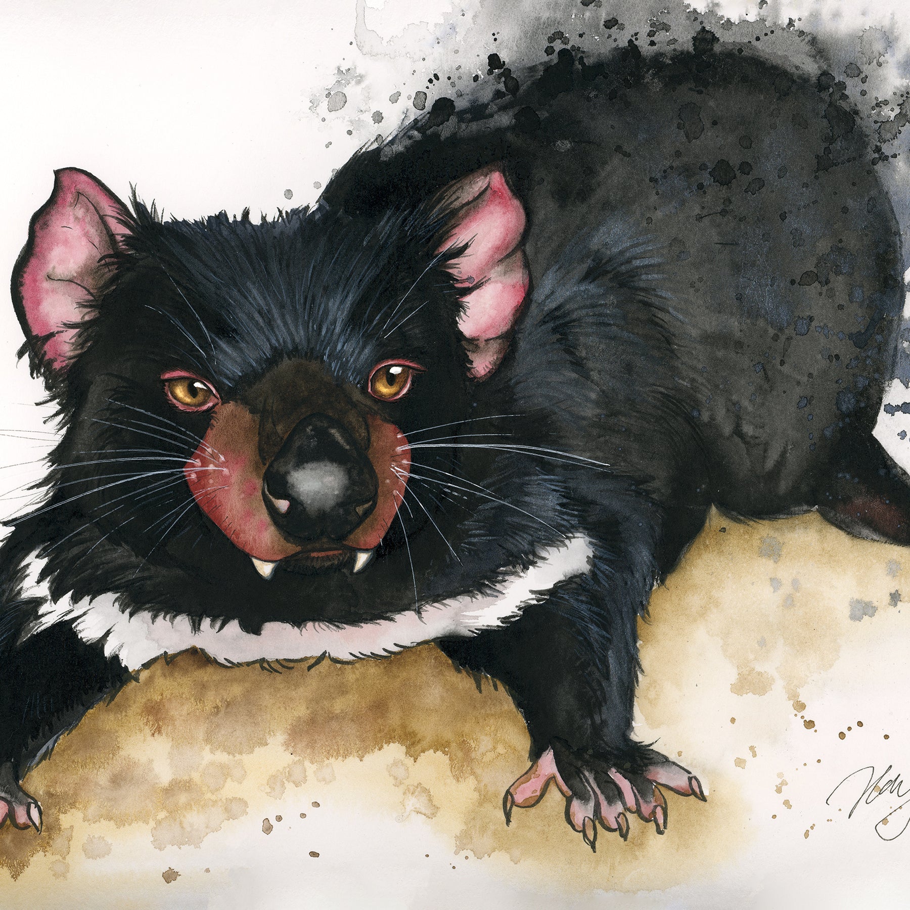 Tasmanian Devil Watercolor Animal Print | Wildlife Illustration | Wall Art