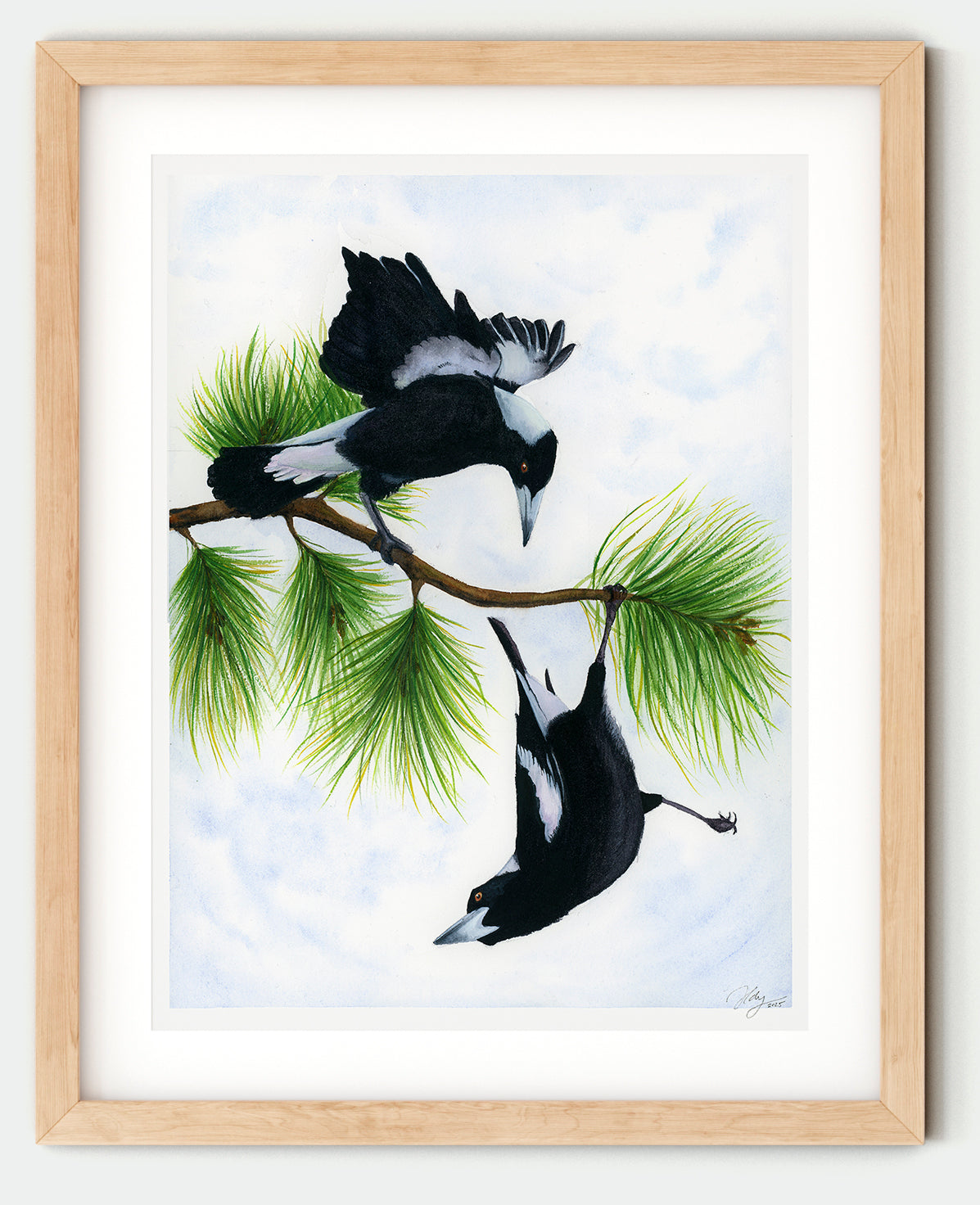 Spring Acrobatics – Magpies Original Watercolour Art | Wildlife | Australian | Wall Art