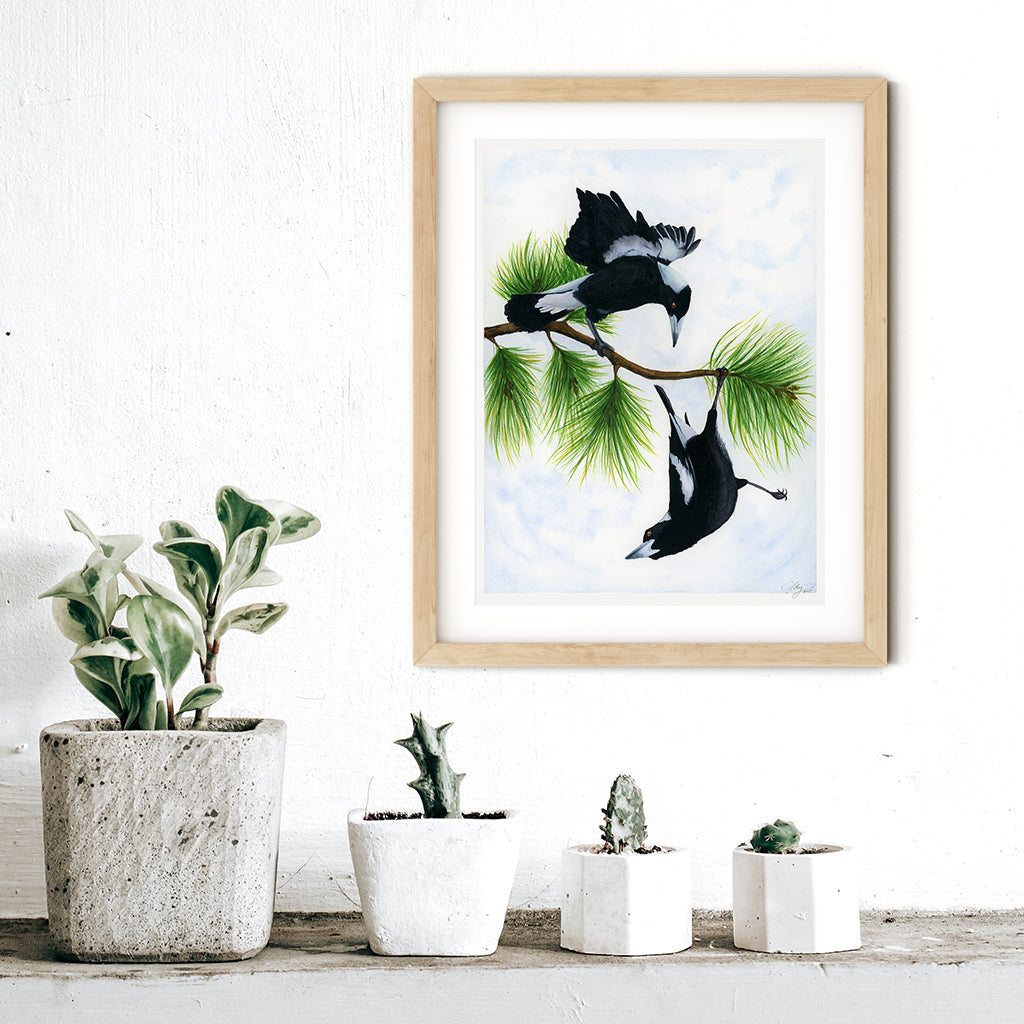 Spring Acrobatics – Magpies Original Watercolour Art | Wildlife | Australian | Wall Art