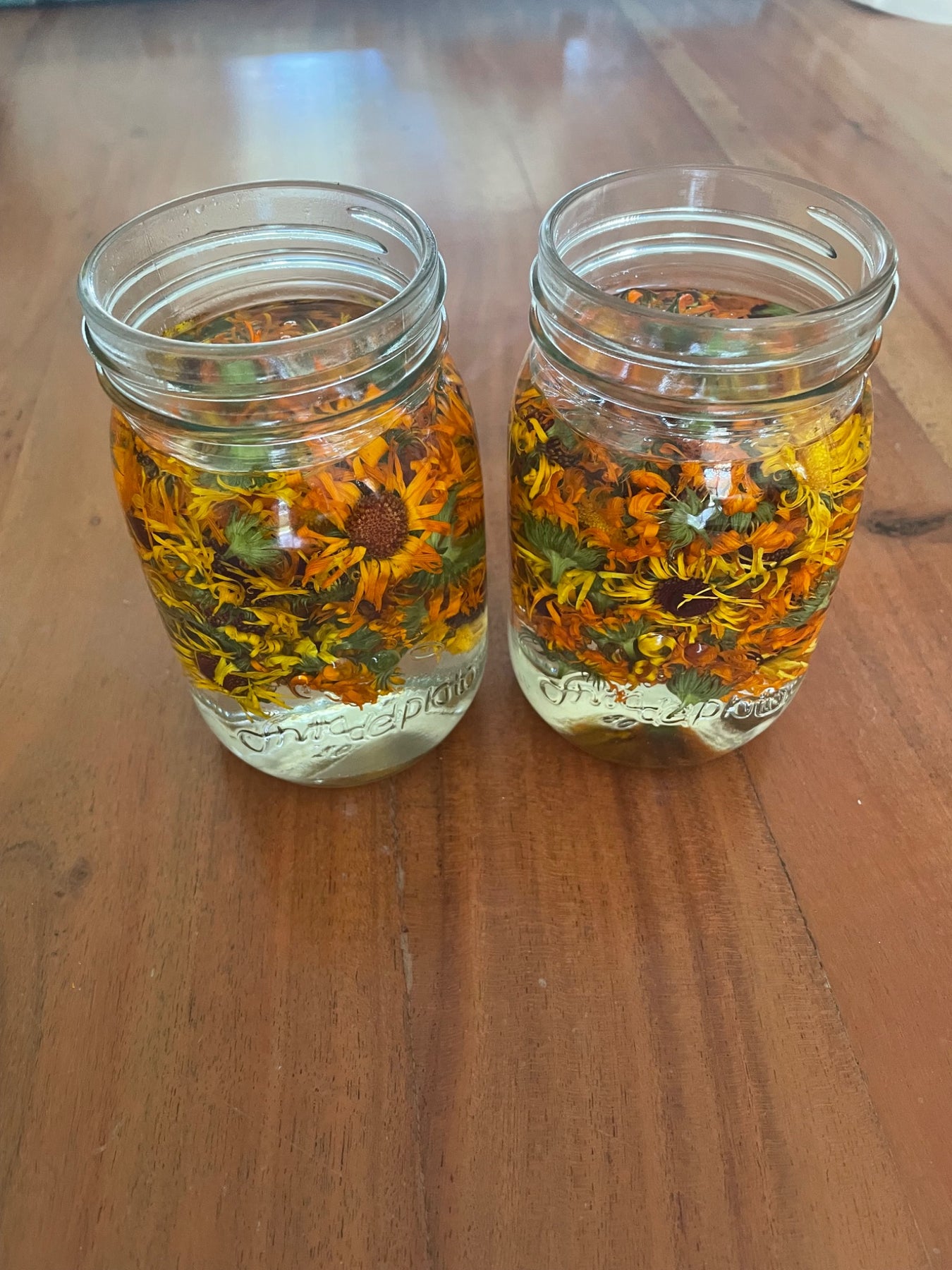 Calendula Salve (Balm)