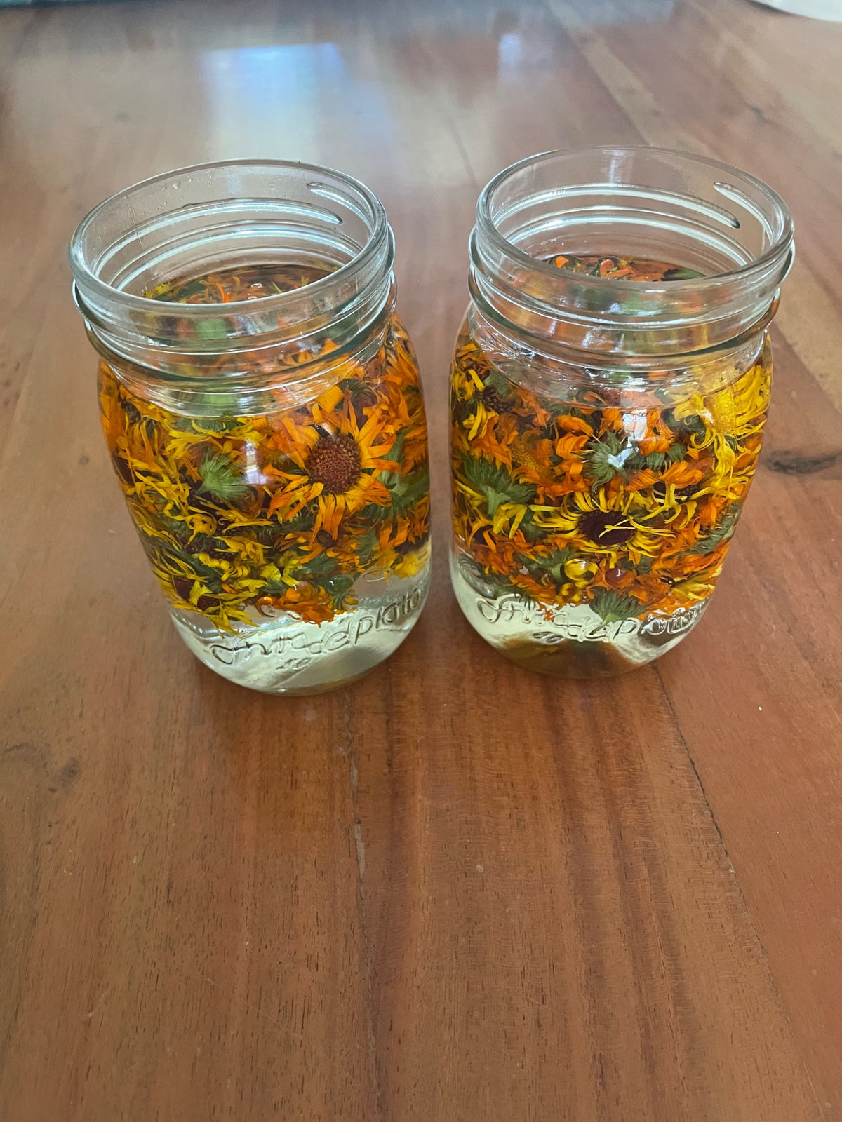 Calendula Salve (Balm)