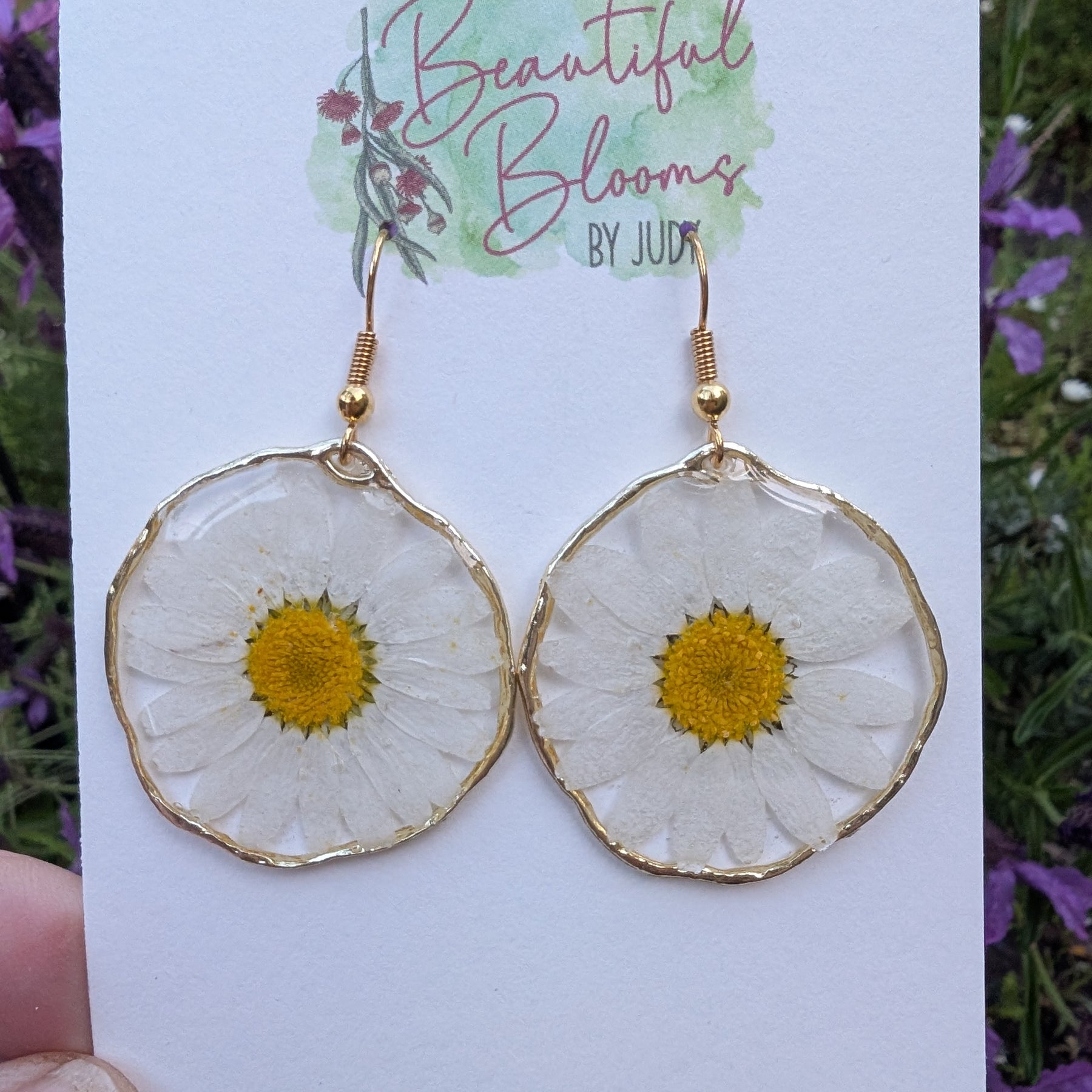 White daisies, real flowers, April birth flower