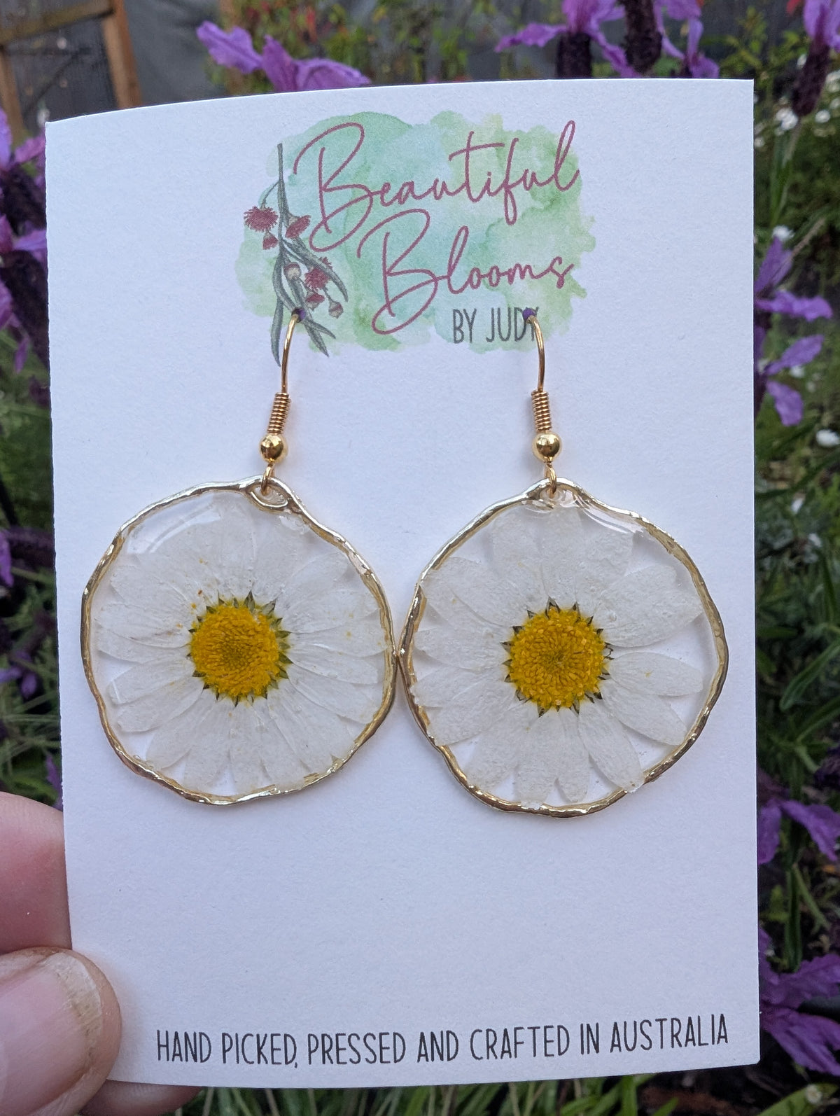 White daisies, real flowers, April birth flower