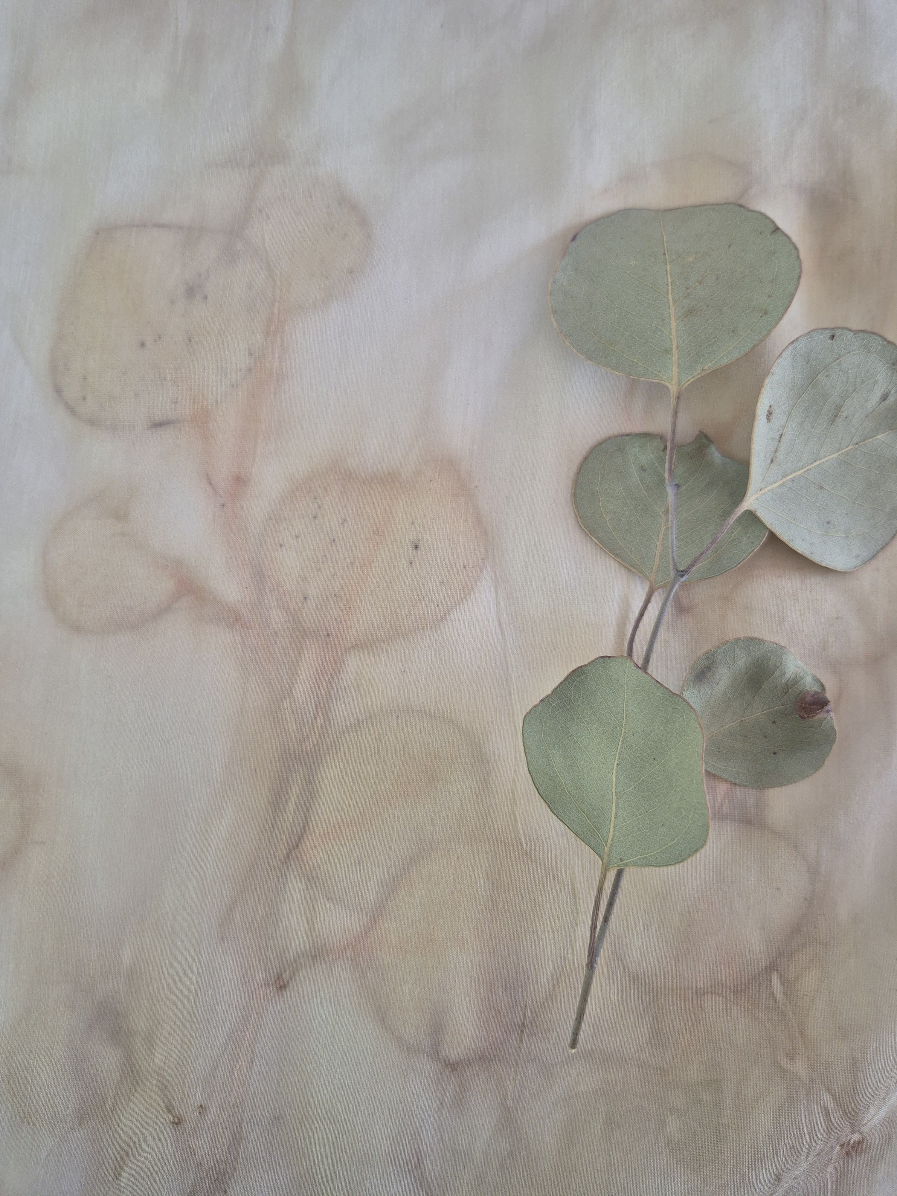 One of a kind lampshade ecoprinted on silk cotton