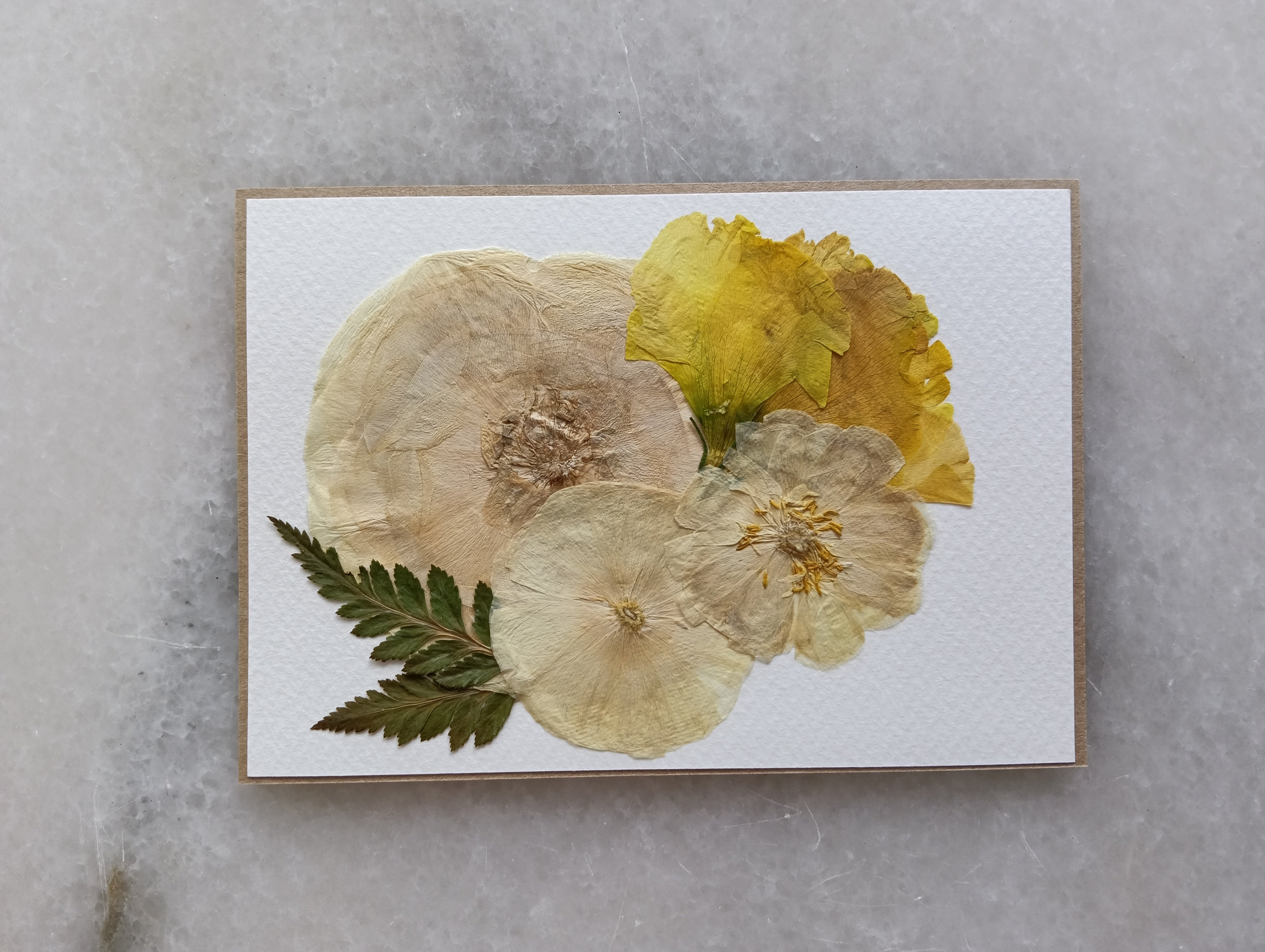 Radiant Ranunculus | Pressed Flower Handmade Card