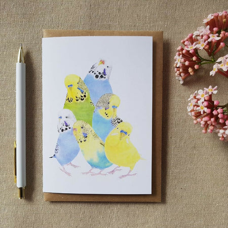 Card featuring 6 colourful pet budgies. Blank inside.