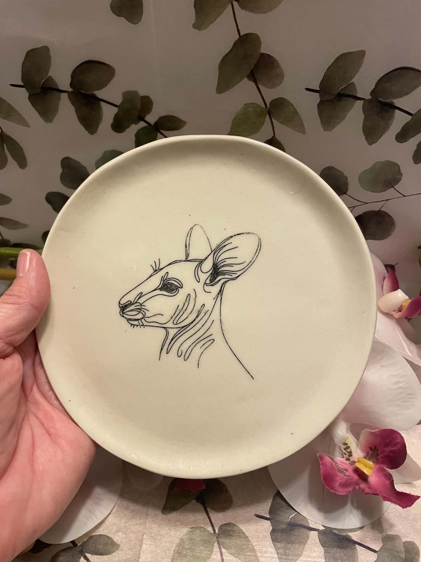 Kangaroo plate